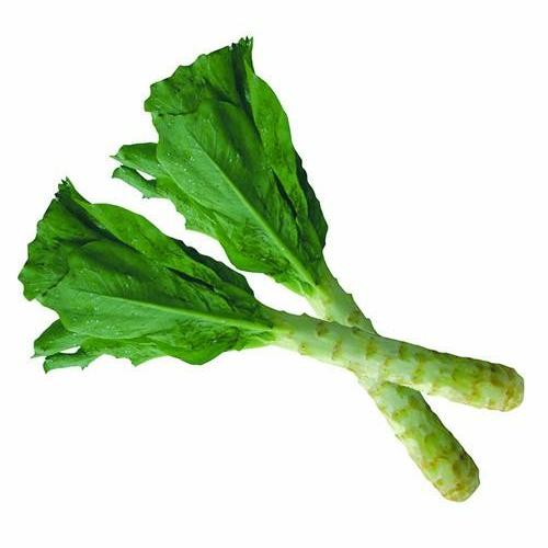 Lettuce Extract Made in Korea