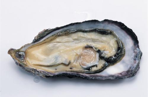Oyster peptide Made in Korea