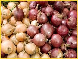 Fresh Red, Yellow, White Onions