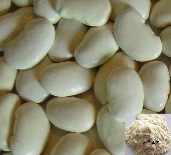 White Kidney Bean Extract,Phaseolus vulgaris extract, Phaseolamin--Extrato branco do feijão-roxo Made in Korea