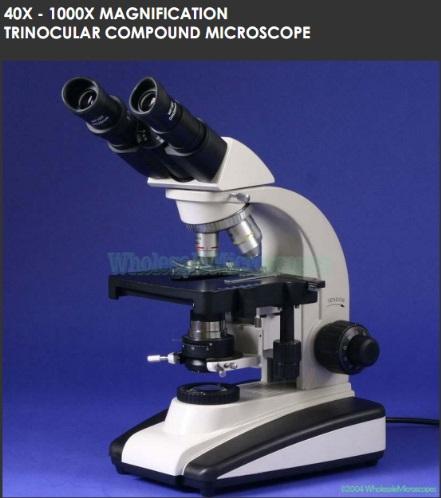Professional Biological Microscope Made in Korea