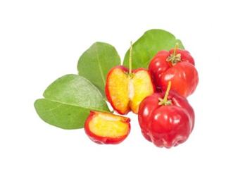 Acerola cherry Extract, West indian cherry Extract，Malpighia emarginata Extract Made in Korea