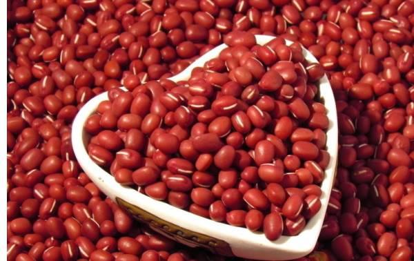 Red adzuki bean extract, Red Bean Extract, Adzuki bean Extract, Semen Phaseoli Extract, Vigna angularis Extract Made in Korea