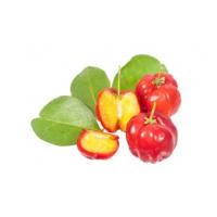 Acerola cherry Extract, West indian cherry Extract，Malpighia emarginata Extract  Made in Korea