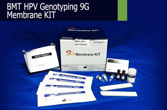 BMT HPV Genotyping 9G DNA Membrane KIT Made in Korea