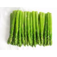 Asparagus Extract, Asparagus officinalis Extract