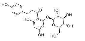 High quality CAS No.: 60-81-1 Phlorizin 98%HPLC Made in Korea