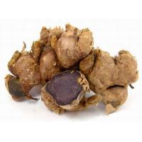 Black Ginger Extract, Thai black ginger Extract,Kaempferia parviflora Extract Made in Korea