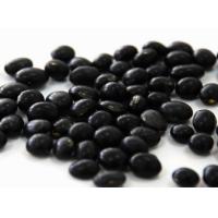 Black soybean hull extract, Black Soybean Peel Extract, Black bean peel extract, Black Bean Extract Made in Korea