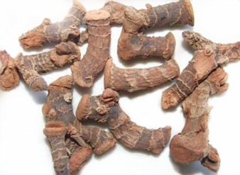 Galangal Extract, Lesser galangal Extract Made in Korea