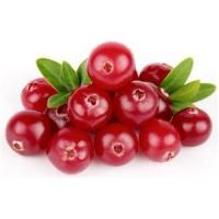 High quality products Cranberry Extract  Made in Korea