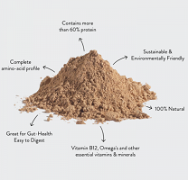 Insect protein raw material(Cricket Flour)  Made in Korea