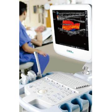Remote control, 3D/4D available ultrasound diagnostic system