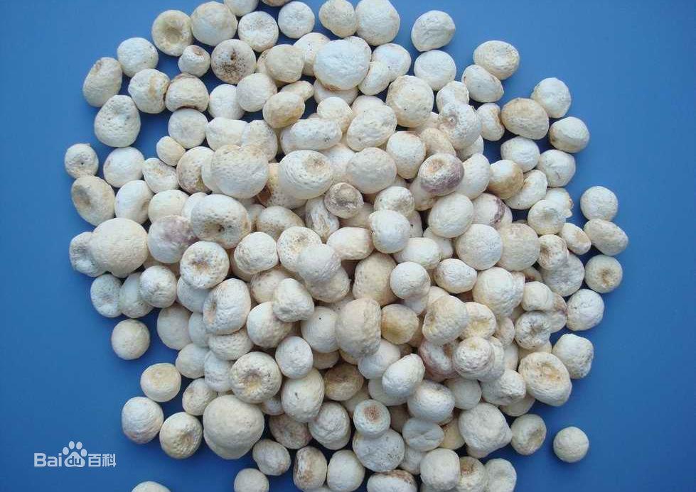 Pinelliae Extract, Pinellia Tuber Extract Made in Korea