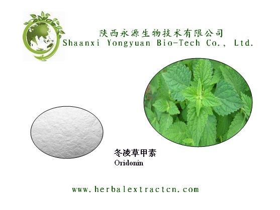 Natural herbal anti-cancer product Oridonin, Rabdosia rubescens extract Made in Korea
