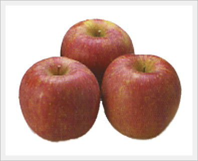 Apple(Fruit)