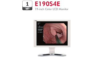 Endoscopy Display 19-inch  Made in Korea