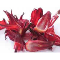 Hibiscus Extract, Roselle Extract, Hibiscus Sabdariffa Extract
