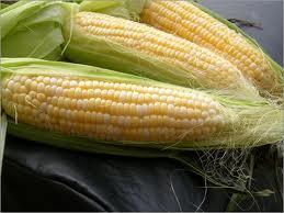 Frozen Fresh White Maize Corn