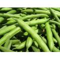 New green beans and frozen vegetables