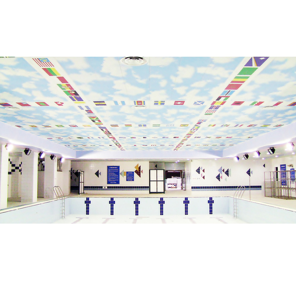 DUC design ceilings  Made in Korea
