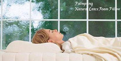 Natural Latex Foam Pillow  Made in Korea