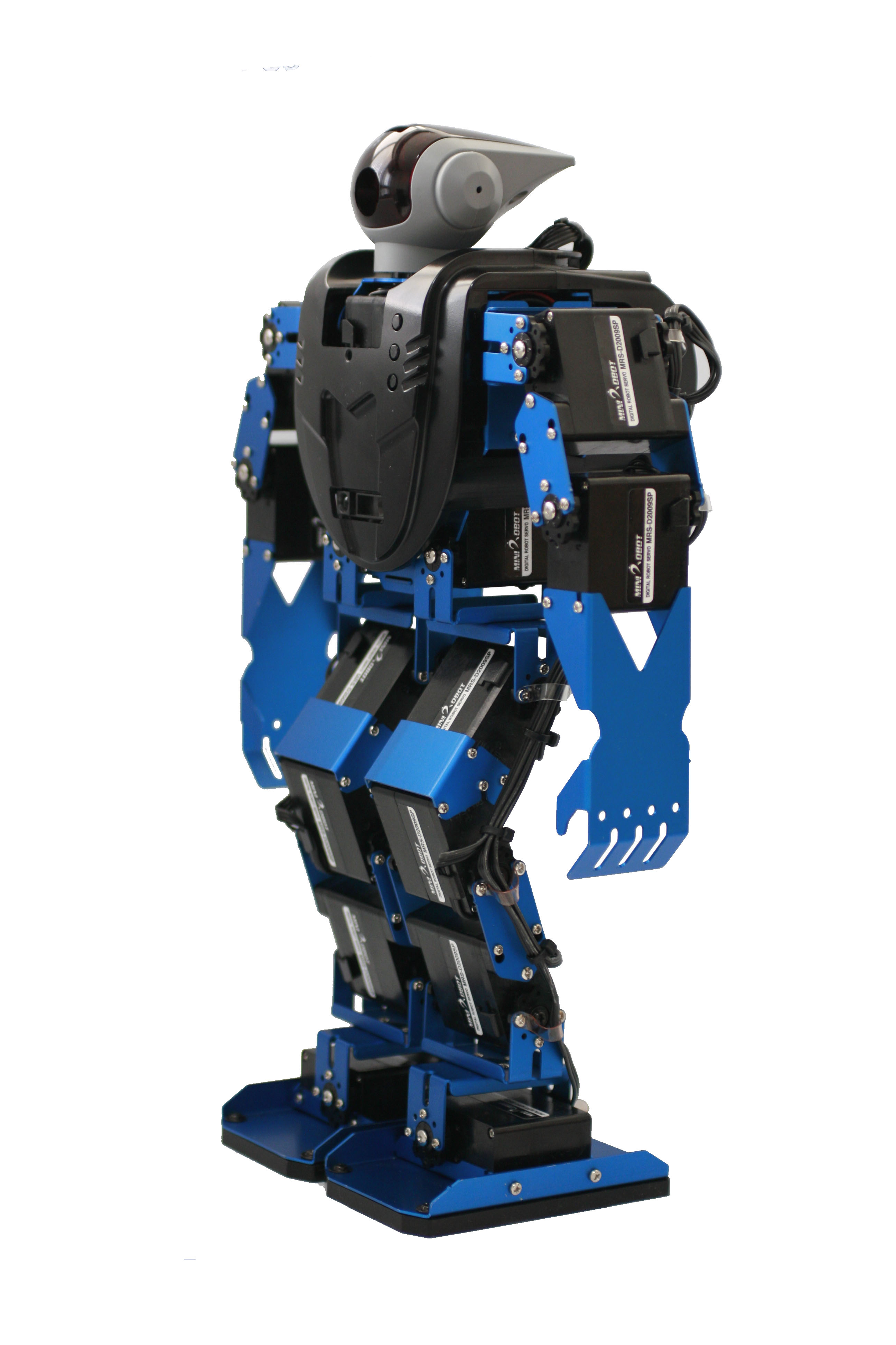 Educational robot Metal-Fighter