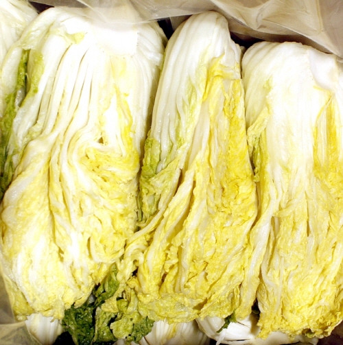 Pickled Chinese Cabbage  Made in Korea