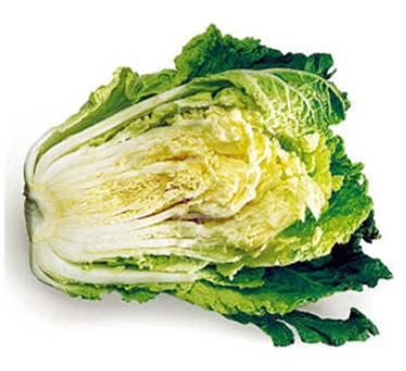Chinese Cabbage  Made in Korea