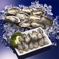 Frozen Cooked Oyster Meat  Made in Korea