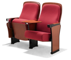 Auditorium, assembly hall chair