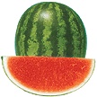 Watermelon-Nonseed Triploid F1  Made in Korea