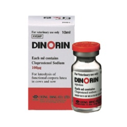 Dinorin  Made in Korea