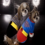 Batman Dog Coat with Emblem Bling  Made in Korea