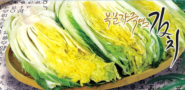 Pickled cabbage  Made in Korea