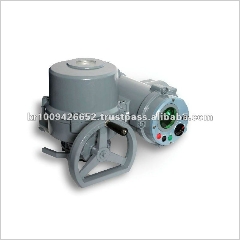Electric Valve Actuator Language Option French  Made in Korea