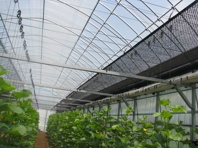 Greenhouses  Made in Korea