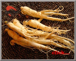 Herbal extract, Ginseng Extract, NLT 10%, 20%, 80%