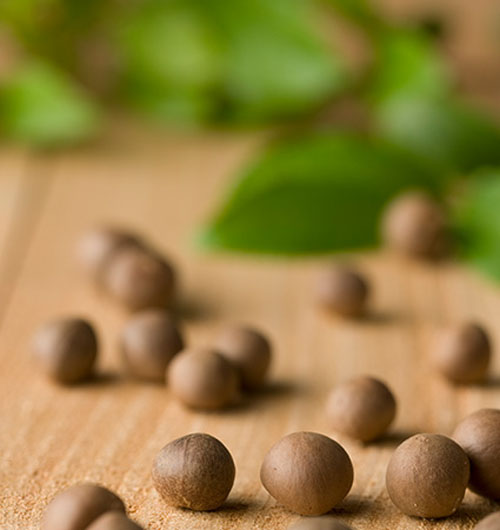 the-green-tea-seed-oil-30ml-korean-cosmetics-free-shipping-5
